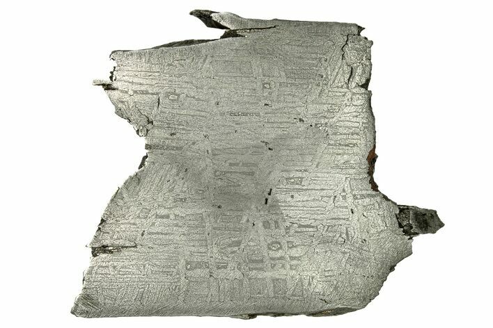 Thick Aletai Iron Meteorite Slice ( g) - Xinjiang, China #272277